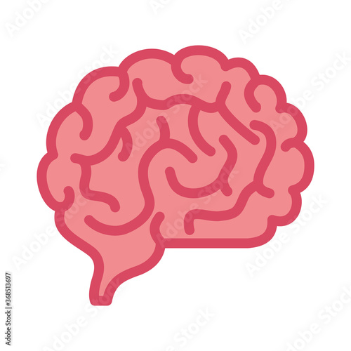 neurology, brain human on white background vector illustration design