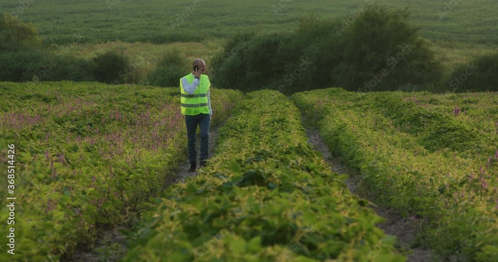 Farm specialist engineer tells by phone about successes in the work for agriculture productivity at large wheat field Farm specialist engineer tells by phone about successes in the work for agriculture productivity at large wheat field