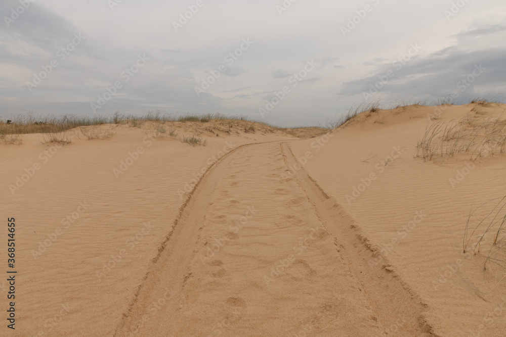 Car tracks in the sand