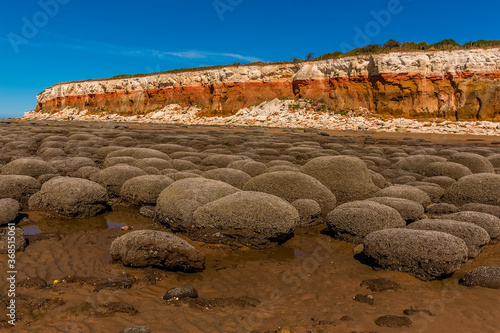 Barnacle encrusted rocks resembling a basket of eggs in front of the white, red and orange stratified cliffs at Old Hunstanton, Norfolk, UK photo