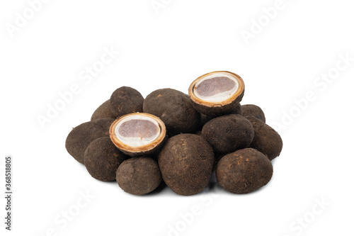 Foto Barometer earthstar or Hygroscopic earthstar (Astraeus hygrometricus) ,Thai natu