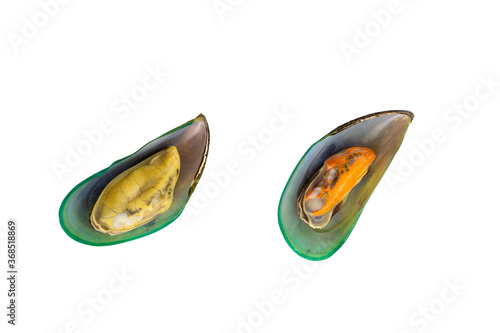 Close up open Steamed mussels isolated on white background photo