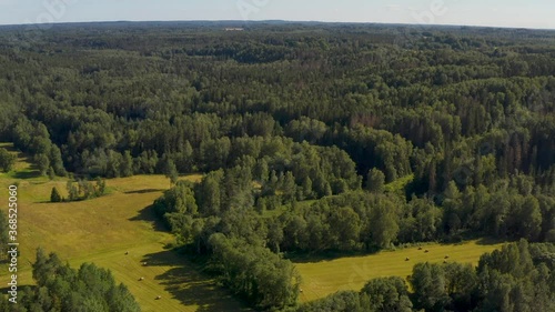 Drone clip flying over Latvian countryside, rural forest area in the national park