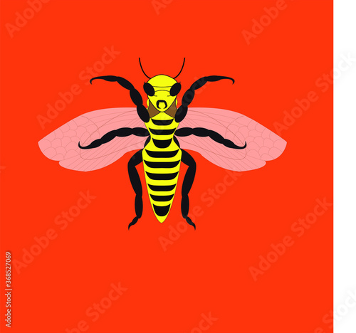 la abeja reina