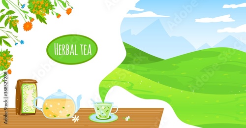 Natural herbal tea vector illustration. Cartoon flat glass teapot kettle, package and teacup with chamomile herb flowers leaves healthy hot beverage, flying aroma wind of nature green field landscape