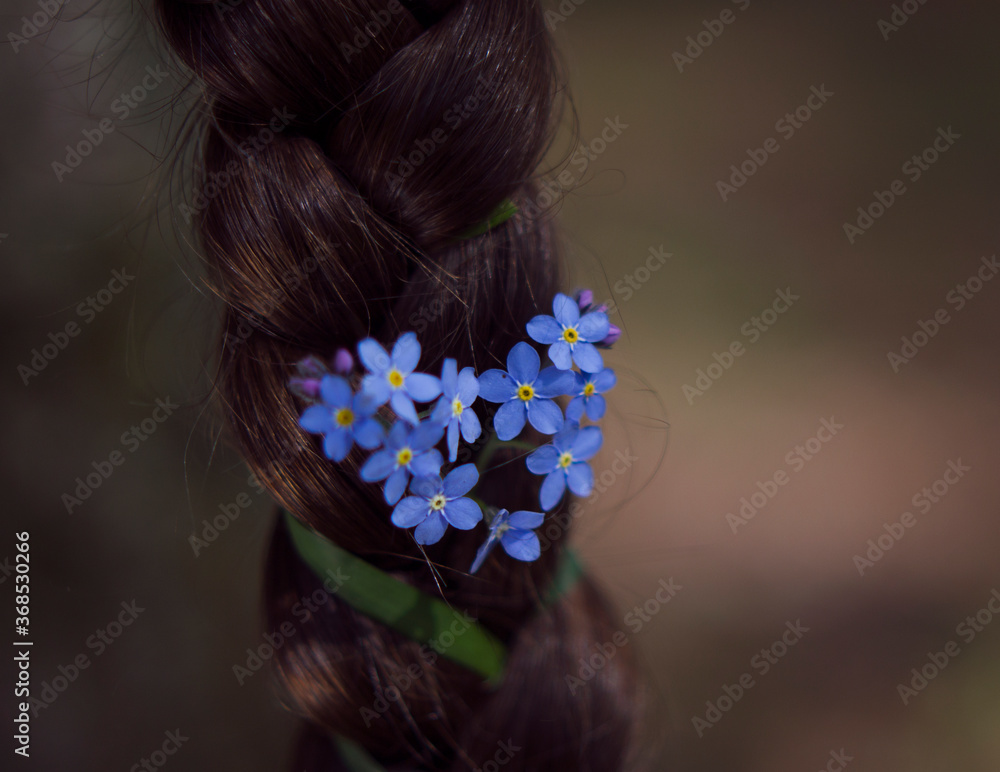 Naklejka premium girl's brown braid with spring blue flowers - forget me nots