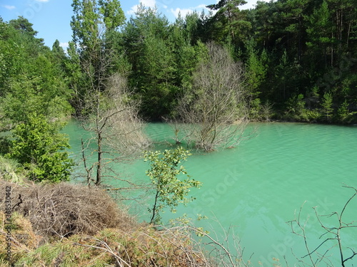 lake in the woods