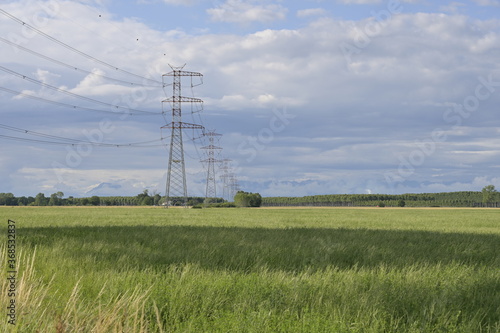 traliccio alta tensione in campo di soia, country landscape
