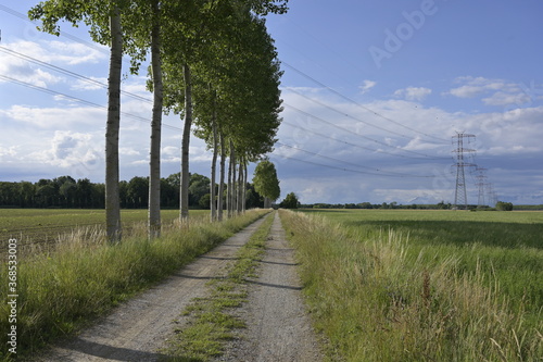 sentiero verde, movimento benessere
