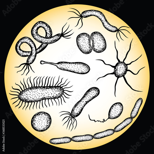 Foto Vector illustration of different bacteries under microscope