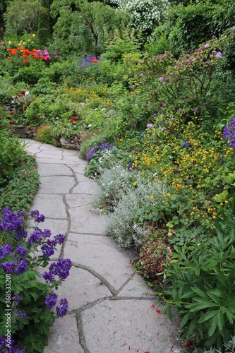 Blooming summer on Gotland island, Sweden