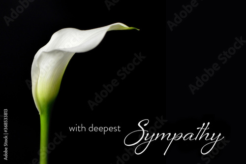 Canvas Print Sympathy card with white calla isolated on black background