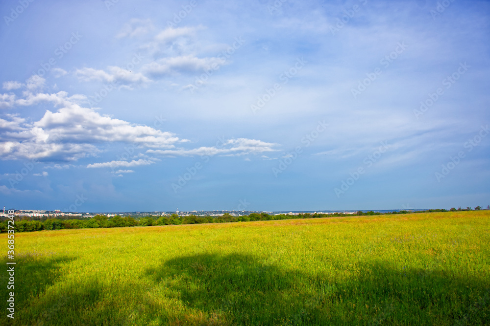 beautiful sunny day on a summer day over the field beautiful sunny day on a summer day over the field