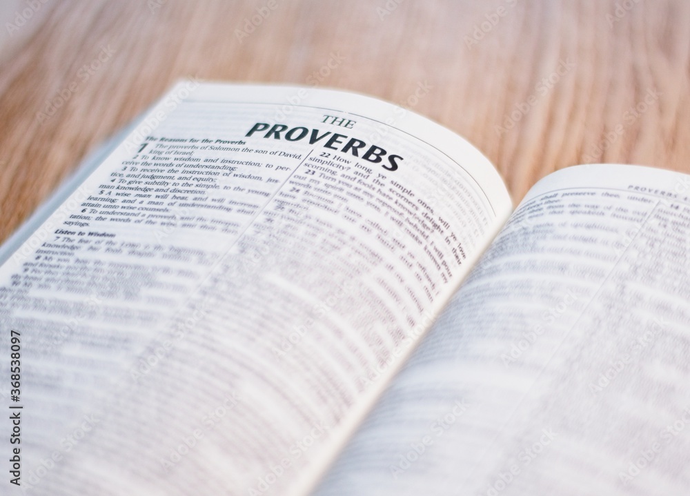 Holy Bible Christian Book Old testament and New Testament Jesus Christ English version Holy Bible Christian Book Old testament and New Testament Jesus Christ English version