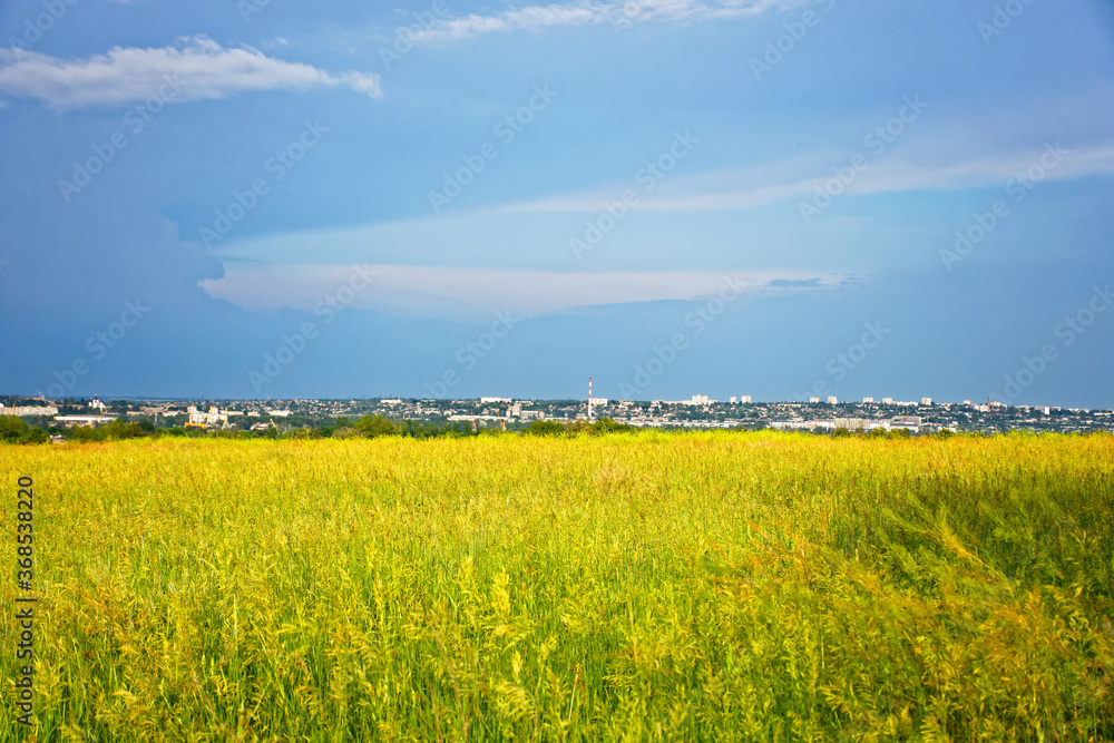 Fototapeta premium beautiful sunny day on a summer day over the field