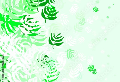 Light Green vector abstract background with leaves.