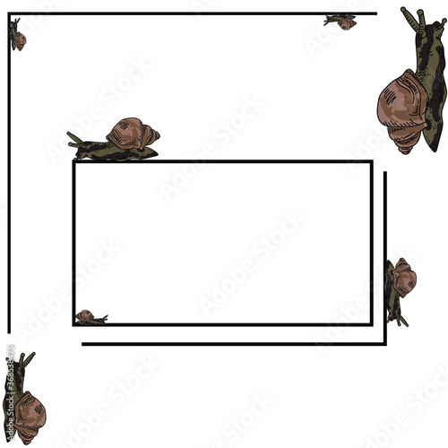 rectangular thin frame for an inscription with brown snails crawling around, vector illustration on a zoological theme