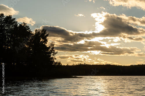 Trees silhouetted against afternoon sky with lake in foreground