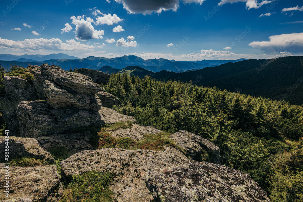 A rocky mountain with trees in the background A rocky mountain with trees in the background