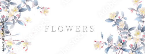Watercolor flowers illustration