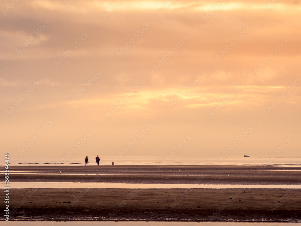 Fototapeta premium People Walking Dog on Tidal Flat