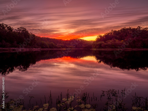 Sunset Over Lake with Reflections and Waterlilies