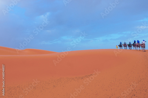 sand dunes in the desert