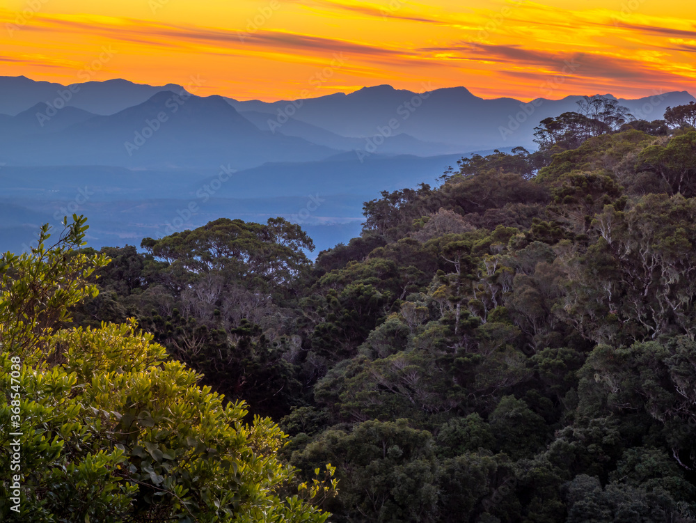 Beautiful Rainforest Sunset