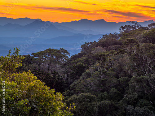Beautiful Rainforest Sunset