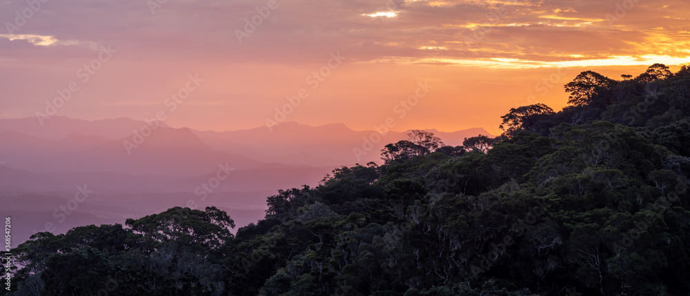 Beautiful Panoramic Rainforest Sunset