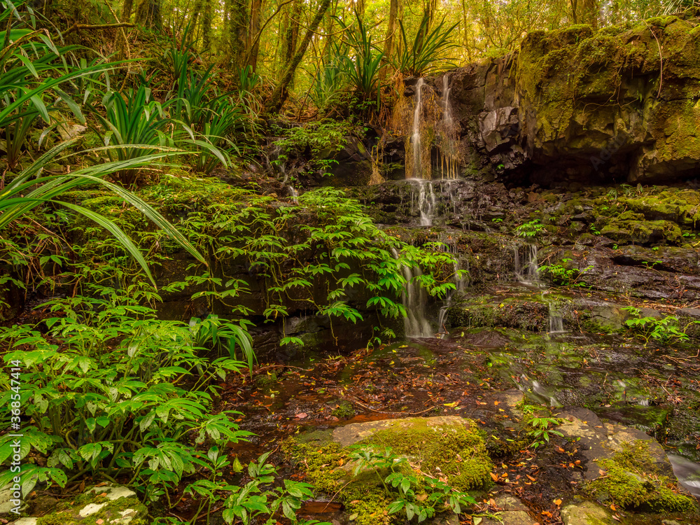 Fototapeta premium Rainforest Cascade