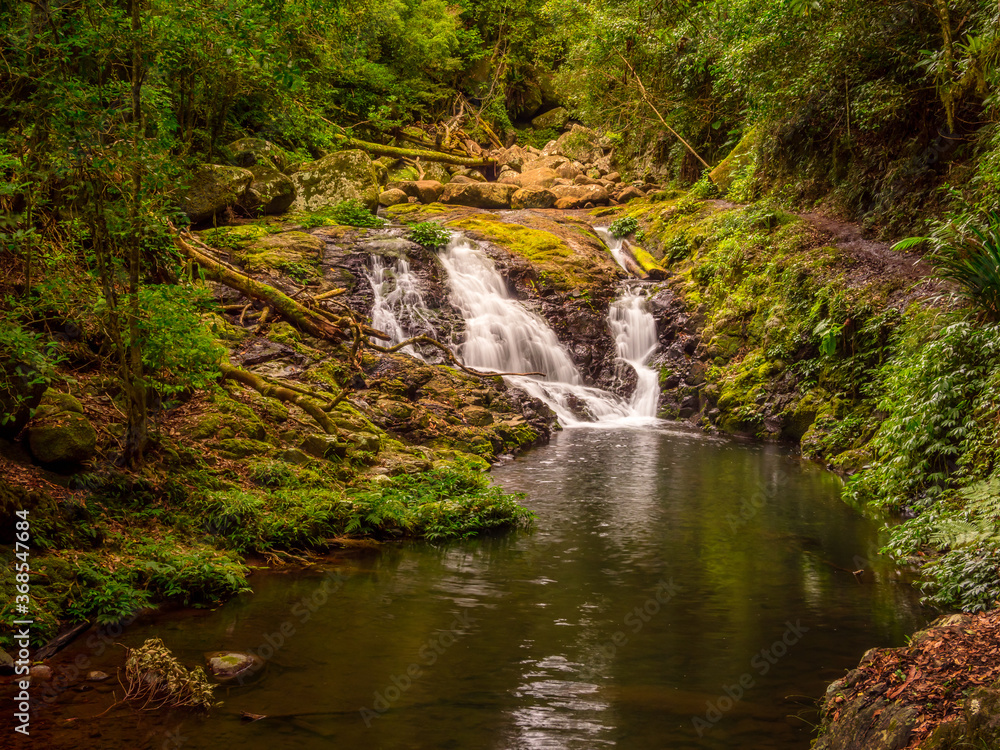 Rainforest Cascade with Reflections