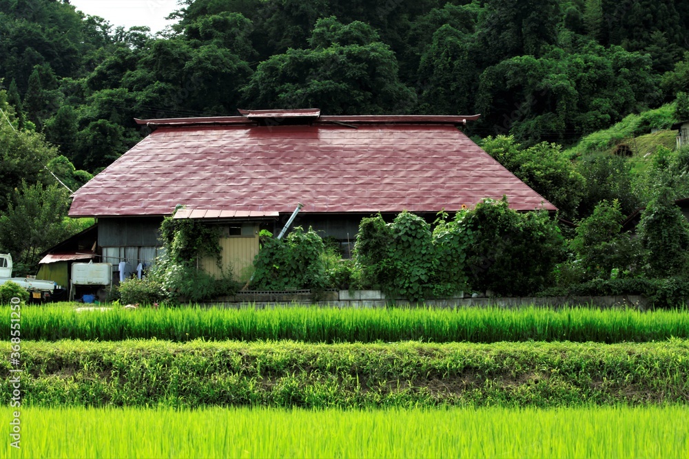 山村の古民家 山村の古民家