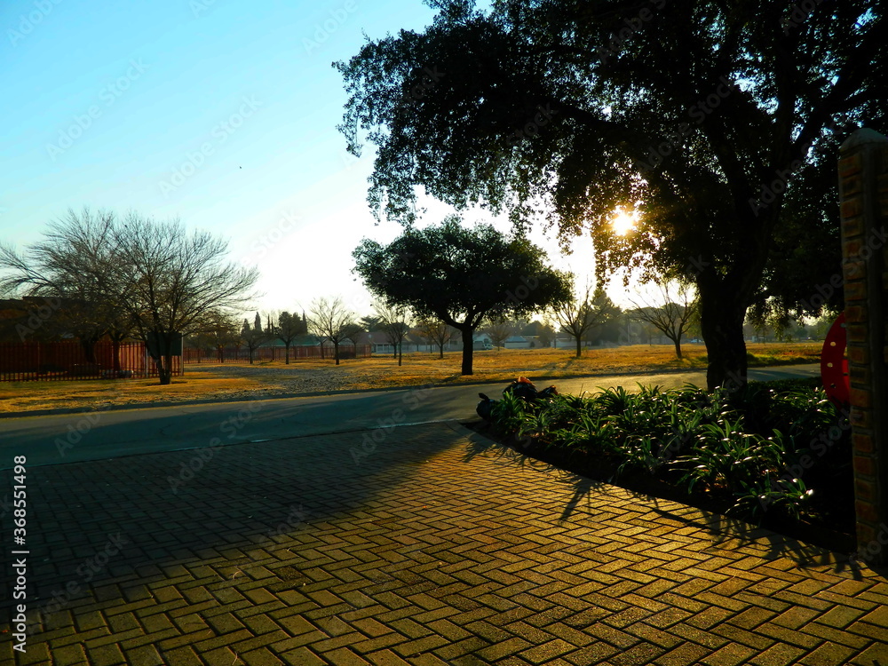 Fototapeta premium sunset in the park