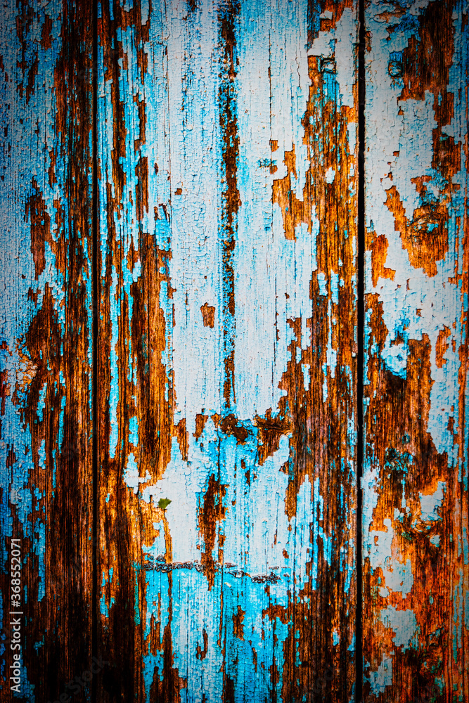 wooden blue worn out palnks of rustic fence, closeup