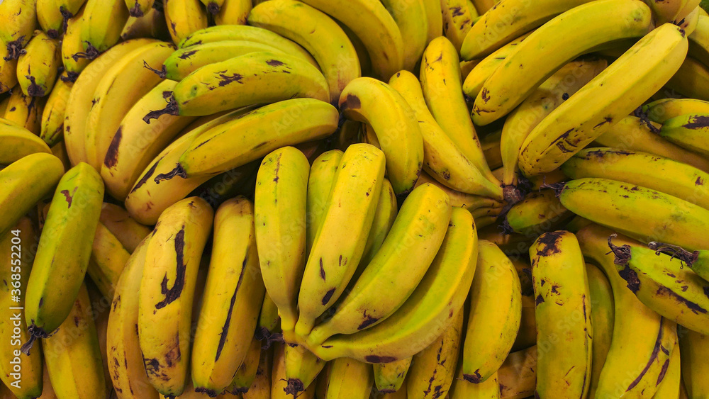 Ripe bananas. Portion of bananas seen from above