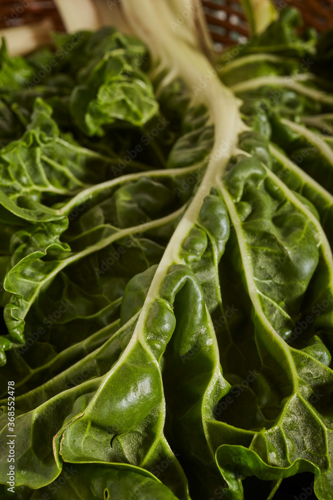 Swiss Chard, raw fresh leaves in a wicker basket from a farm stand in Amish Country, Lancaster County, Pennsylvania, USA Swiss Chard, raw fresh leaves in a wicker basket from a farm stand in Amish Country, Lancaster County, Pennsylvania, USA