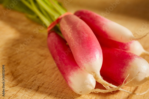 French breakfast radishes. A fresh bunch straight from a Pennsylvania farm stand.