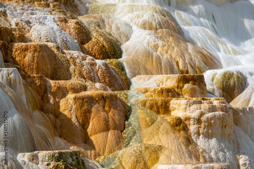 Closeup view of Mammoth Hot springs in Yellowstone National Park, Wyoming, USA