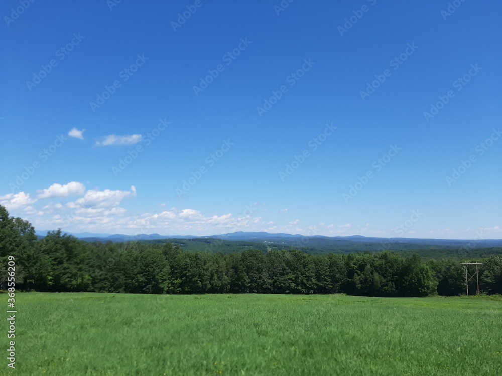 green field and blue sky