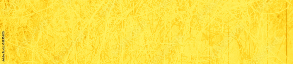 Obraz premium abstract bright yellow color background for design