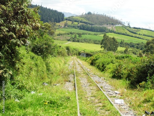 Solitarias vías del tren entre la naturaleza