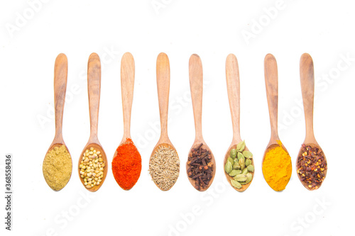 indian spices isolated on white background.