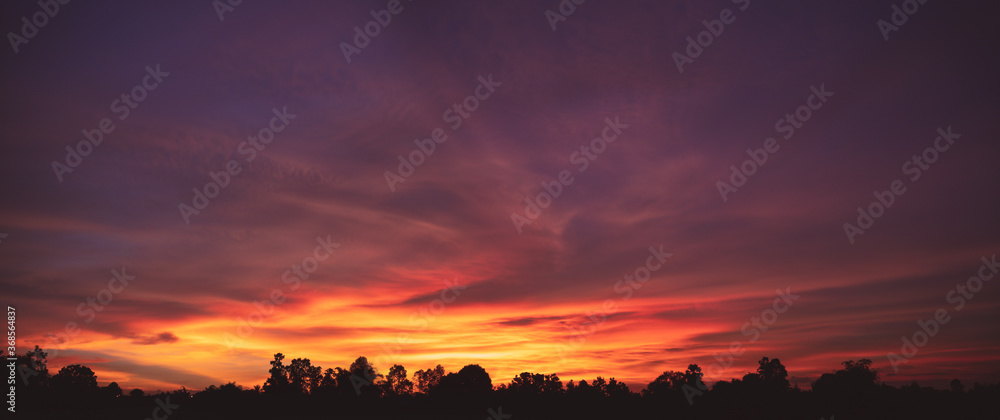 sunset sky background. sunset sky background.
