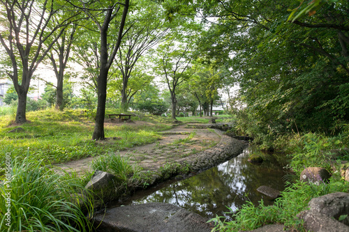 桜台公園（横浜市青葉区）