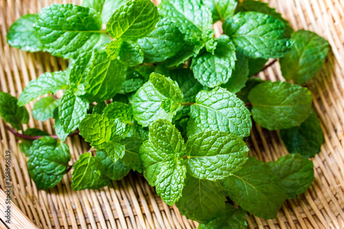 Fresh and green mint leaves are used as ingredients