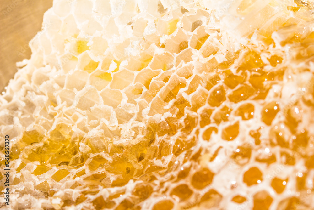 The golden color of nature's wild beehive honey The golden color of nature's wild beehive honey