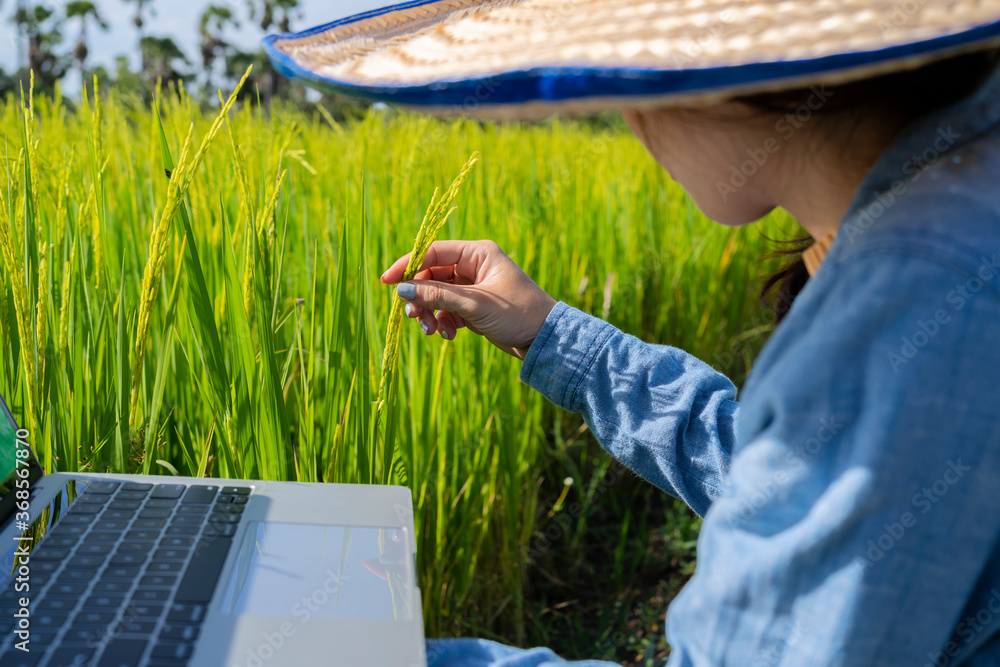 Fototapeta premium Thai beautiful farmer, and Hand in hand with a notebook computer, background nature. Farmers in Thailand concept