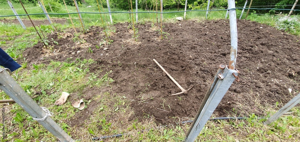 Fototapeta premium boys