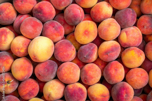 Background and texture of ripe peaches. Fruit harvest.
